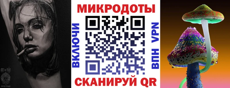 Галлюциногенные грибы Psilocybine cubensis Старая Купавна