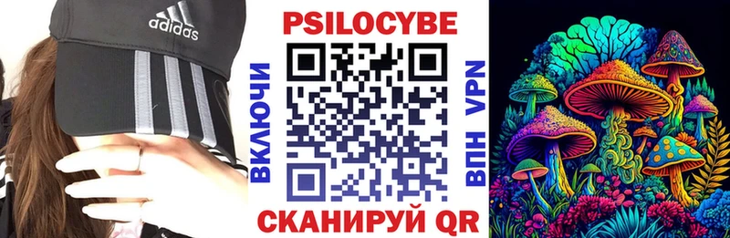купить   Старая Купавна  Галлюциногенные грибы прущие грибы 